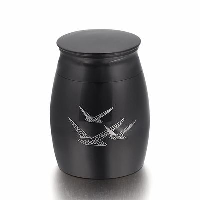 BIAIHQIE Going Home Memorial Keepsake Urn with Fancy Box - Wings of Freedom Keepsake Urn - Urn for Ashes Set of 2