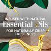 Air Wick Plug in Scented Oil Refill, 10ct, Calming Sea Spray Breeze & Fresh Watermelon, Air Freshener, Essential Oils view 4