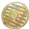 17 Year AA Medallion 22k Gold Plated Sobriety Chip view 2