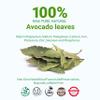 2.6oz Dried Avocado Leaves, 100% Natural Tea Leaves, Aromatic Leaf Tea,Hojas De Aguacate Secas, Caffeine-free, Non-GMO. by Akshit view 2