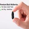 Top Grade Premium Dried Black Mulberries 9 Oz/254g,Big & Delicious,Hand Picked .No Sugar Added & No Additives. view 4