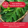 Akshit Papaya Leaf - 5.2 oz, Leaf Tea, Dried from Green Leaves, Hojas de papaya, Caffeine Free, Non- GMO. Perfect For Leaves Extract & Herbal Tea view 4