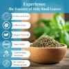 7.8oz Holy Basil Leaves Dried, Holy Basil Tea, Tulsi Loose Leaf, Non-GMO, Caffeine-Free. Perfect For Relaxing & Calming Tea. by Akshit view 3