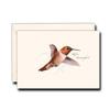Earth Sky + Water - Rufous Hummingbird Notecard Set - 8 Blank Cards with Envelopes view 1