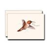 Earth Sky + Water - Rufous Hummingbird Notecard Set - 8 Blank Cards with Envelopes view 2