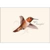 Earth Sky + Water - Rufous Hummingbird Notecard Set - 8 Blank Cards with Envelopes view 3