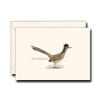 Earth Sky + Water - Roadrunner Notecard Set - 8 Blank Cards with Envelopes view 1