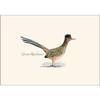 Earth Sky + Water - Roadrunner Notecard Set - 8 Blank Cards with Envelopes view 2