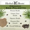 Herbal Roots Organic Saw Palmetto Capsules | 1,000mg per Serving | 60 Organic Vegan Capsules view 3