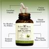 Herbal Roots Organic Saw Palmetto Capsules | 1,000mg per Serving | 60 Organic Vegan Capsules view 4