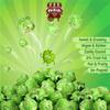 Gourmet Green Apple Flavored Popcorn by It's Delish  1 lb bulk Bag | Air Popped Pop Corn Snack - Fruity Green Themed Candy Confetti | Birthday Party, Events  Gluten Free, Vegan, Kosher view 4