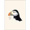 Earth Sky + Water - Sibleys Atlantic Puffin Notecard Set - 8 Blank Cards with Envelopes view 2