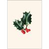 Earth Sky + Water - English Holly Notecard Set - 8 Blank Cards with Envelopes view 3