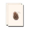 Earth Sky + Water - Pine Cone Notecard Set - 8 Blank Cards with Envelopes view 2