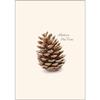 Earth Sky + Water - Pine Cone Notecard Set - 8 Blank Cards with Envelopes view 3