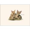 Earth Sky + Water - Kit Foxes Notecard Set - 8 Blank Cards with Envelopes view 3