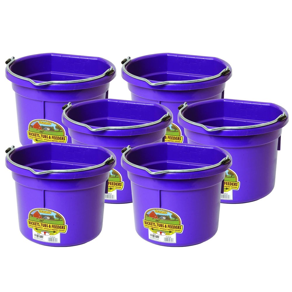 Little Giant P8FBPURPLE 2 Gallon All Purpose Heavy Duty Farm Flat Back Plastic Buckets for Supplies, Toys, Laundry, and Water, Purple, (6 Pack)