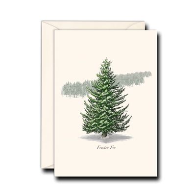 Earth Sky + Water - Frasier Fir Notecard Set - 8 Blank Cards with Envelopes