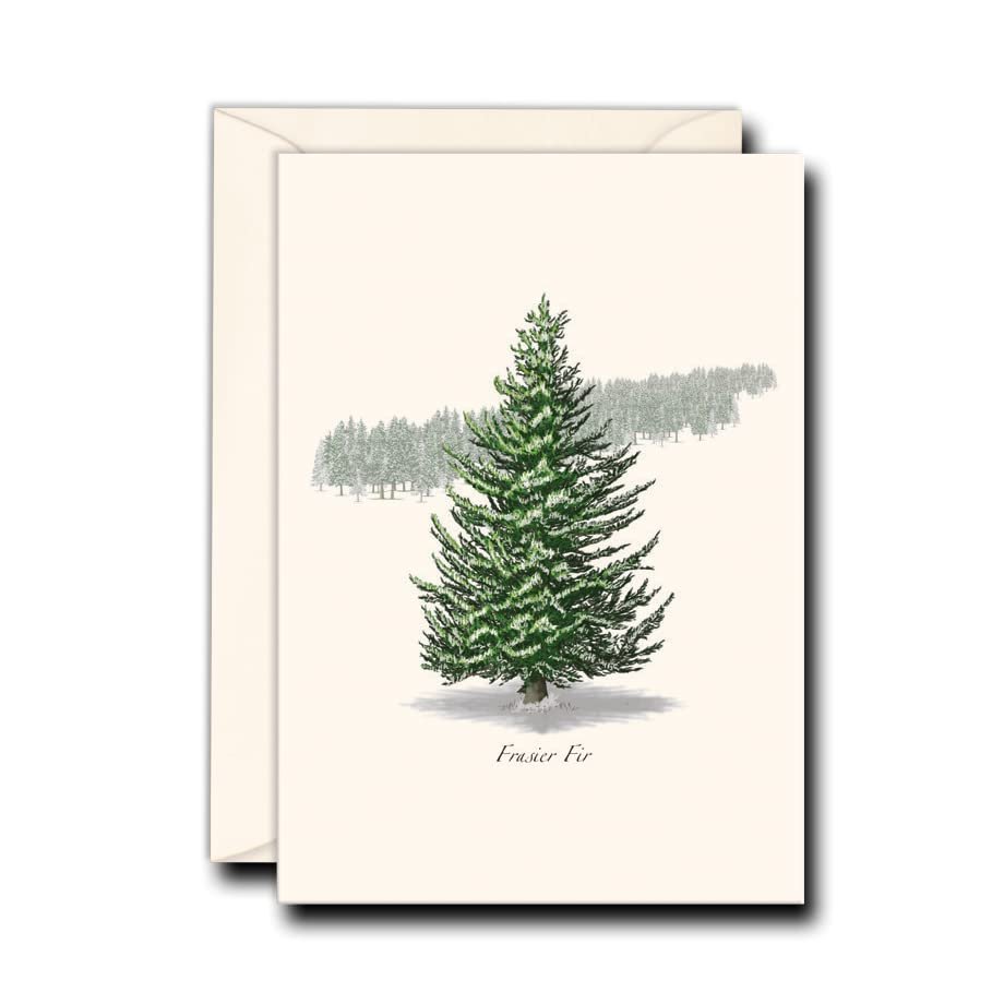 Earth Sky + Water - Frasier Fir Notecard Set - 8 Blank Cards with Envelopes