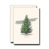 Earth Sky + Water - Frasier Fir Notecard Set - 8 Blank Cards with Envelopes view 1