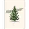 Earth Sky + Water - Frasier Fir Notecard Set - 8 Blank Cards with Envelopes view 2