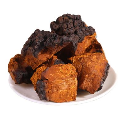 1000g Siberia Pure Natural Premium Inonotus Obliquus,Chaga Mushroom,Herbal Supplements.