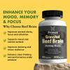 Primal Being Grassfed Beef Brain, Supports Memory, Mood, Focus, Energy, Cognitive Health - 90 Capsules, 1500mg per Serving view 4