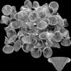 Funrous Stainless Steel Screens 3/4 Inch Conical Design Bowl Screen Filters Metal Filters Screens Filters, Adjustable Size(100 Pcs) view 1