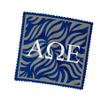 Alpha Omega Epsilon Sorority Eyeglass Cleaner & Microfiber Cleaning Cloth (Alpha Omega Epsilon - 7) view 1