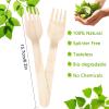 TANGTEA 100 Pack Disposable Wooden Forks  6.2 Inch Splinter-Free Birch Cutlery  Sturdy Natural Wood Utensils for Weddings, BBQ, Parties & Camping  Smooth Unwaxed 100% Natural Wood Forks view 3