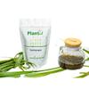 Plantish Fever Grass Herbal Tea| Jamaican Lemon Grass/ Lemon balm| Calming Herbal Tea view 3