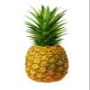 Dehydrated Pineapple slices , Cocktail Garnish, Healthy Snacks, Hikers Delight, lunch box snacks, sweet, nutritious, and easy to store. Vitamin C, folate, and dietary fiber, making them a healthy snack choice - 12 oz view 4