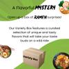 High Class Grass Ramen Noodle Variety Pack Sampler of 10 Instant Noodles from MAMA, Indomie, Lucky Me, and More view 3