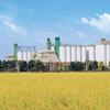 [100% Japan Grown, Iwate Prefecture] Superior Akitakomachi Rice, White Milled Short Grain Rice   - 4.4 Pounds view 3