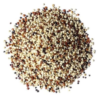 Organic Tricolor Quinoa - 25 lb.100% Natural Royal Bolivian Superior Grade Protein Rich Whole Grain