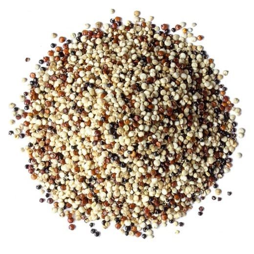 Organic Tricolor Quinoa - 25 lb.100% Natural Royal Bolivian Superior Grade Protein Rich Whole Grain