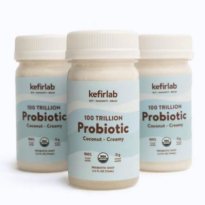 KefirLab Probiotics 100T CFU - 36 Strains - Vegan & Organic - Support Digestion, Immune System, Brain Health, Mood & Stress. Creamy (16-Pack)