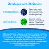 KefirLab Probiotics 100T CFU - 36 Strains - Vegan & Organic - Support Digestion, Immune System, Brain Health, Mood & Stress. Creamy (16-Pack) view 4