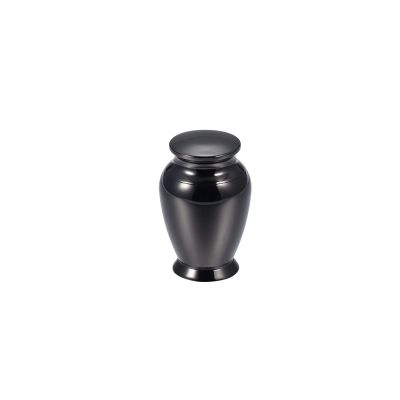 SHEIL Free Box - High Polish 316L Stainless Steel Cremated Ashes Containers Cremation Urn Casket for Human/Pet (40mm*29m),2