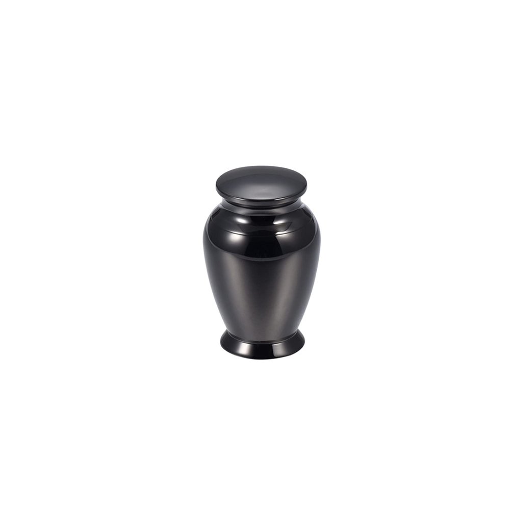 SHEIL Free Box - High Polish 316L Stainless Steel Cremated Ashes Containers Cremation Urn Casket for Human/Pet (40mm*29m),2