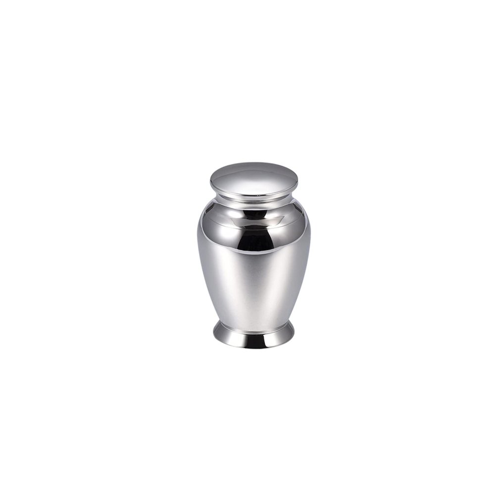 SHEIL Free Box - High Polish 316L Stainless Steel Cremated Ashes Containers Cremation Urn Casket for Human/Pet (40mm*29m),1