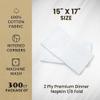 2 Ply Premium Dinner Napkin 1/8 Fold (Package of 300ct) 15" x 17" view 2