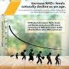 Orgabay Liposomal Nicotinamide Riboside 2000 MG with TMG and Pterostilbene, Boosting NAD+, Support Healthy Aging, 180 Count view 3