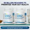 Allbe ProbioCan - Probiotic 50 Billion CFU (60 Servings), 11 Strains of Lactobacillus & Bifidobacteria, Supports Digestive Health & Immune Function, Probiotics for Women & Men - Pack of 2 view 4