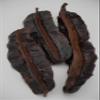 AseLife Energy Aiden Fruit Prekese Oshosho Osakirisa Uhio Tetrapleura Tetraptera 2 Count view 3