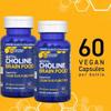 Acetylcholine Brain Food - Acetyl L-Carnitine & Alpha GPC Supplement - Supports Production of Acetylcholine - Neurotransmitter Supplement for Cognitive Function - 120 Capsules view 4