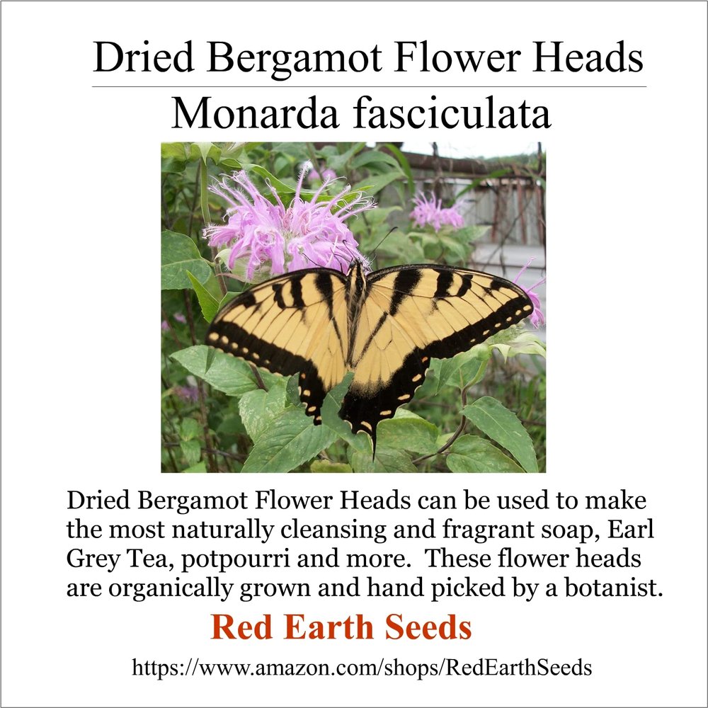 .25 Ounce Dried Wild Bergamot Flower Heads - Monarda fistulosa