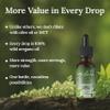MY LAND Organic Oregano Oil Drops  10ml, Pure, Undiluted, Dropper Bottle High Carvacrol Content | Steam Distilled from Mt. Olympus Oregano | Immune & Digestive Support view 3