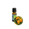 10ml (1/3oz) Calendula Essential Oil (Marigold, Calendula Officinalis) - 100% Pure, Undiluted, Uncut, All-Natural view 1
