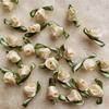 200pcs Mini Satin Ribbon Flower Bows Rose Wedding Sewing Crafts Appliques Polyester for Wedding Bride Gift Wrapping Decoration (Apricot) view 3